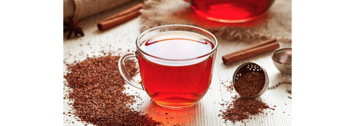 Rooibos – Hvorfor er det så sundt?